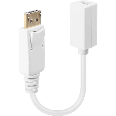 Adattatore cavo video Lindy 41060 - Bianco Adattatore cavo video Lindy 41060 - Bianco