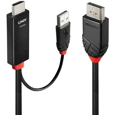 Lindy 41499 Cavo adattatore HDMI / DisplayPort - 2m Lindy 41499 Cavo adattatore HDMI / DisplayPort - 2m
