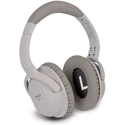 Lindy 73200 LH500XW - GRIS Lindy 73200 LH500XW - GRIS