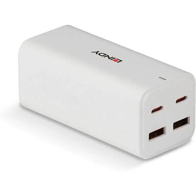 Lindy 73441 Blanc 100W Chargeur Multi-Port - Publicité Lindy 73441 Blanc 100W Chargeur Multi-Port - Publicité