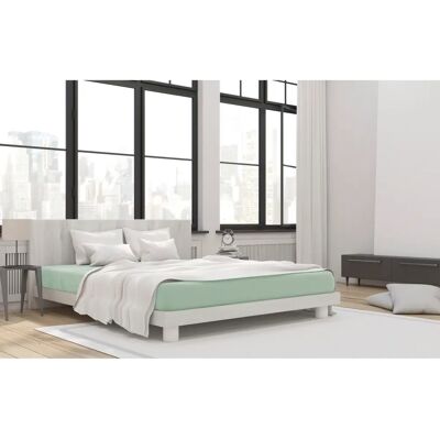 PRIMERA - Mako-Jersey Bio - 100x200 - 22 cm - Fitted Sheet PRIMERA - Mako-Jersey Bio - 100x200 - 22 cm - Fitted Sheet
