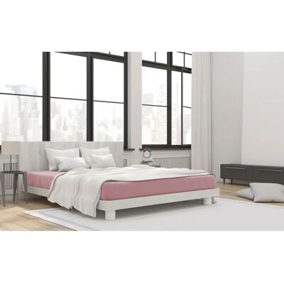 PRIMERA Mako-Feinjersey - Spannbettlaken - 90-100x200 cm PRIMERA Mako-Feinjersey - Spannbettlaken - 90-100x200 cm