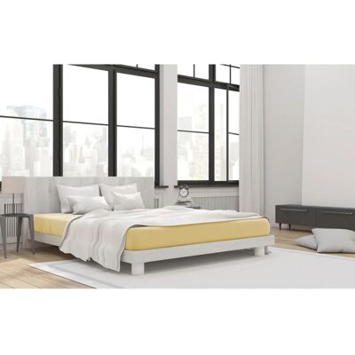 Primera Mako-Feinjersey Spannbettlaken - Bettlaken 140-160cm x 200cm Primera Mako-Feinjersey Spannbettlaken - Bettlaken 140-160cm x 200cm