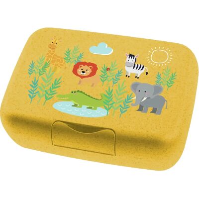 Koziol Gul Lunchboks - Holdbar, Miljøvennlig, 19x14x7cm Koziol Gul Lunchboks - Holdbar, Miljøvennlig, 19x14x7cm