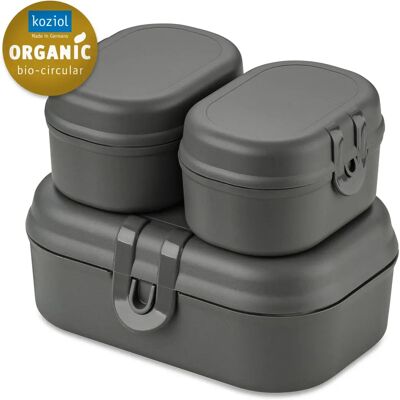 Koziol Graues Lunchbox-Set - Aufbewahrungsboxen Koziol Graues Lunchbox-Set - Aufbewahrungsboxen
