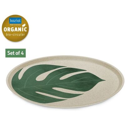 Koziol Connect Plate Set 4 Stück Monstera Blatt 25,5cm - Essteller Koziol Connect Plate Set 4 Stück Monstera Blatt 25,5cm - Essteller