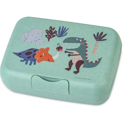 Koziol Candy L Mehrfarbige Lunchbox - Lunchbehälter Koziol Candy L Mehrfarbige Lunchbox - Lunchbehälter