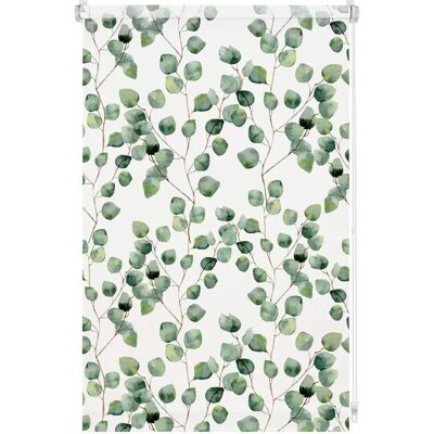 Gardinia Easyfix Rollo Digiprint - Volet roulant floral - 80x150cm Gardinia Easyfix Rollo Digiprint - Volet roulant floral - 80x150cm