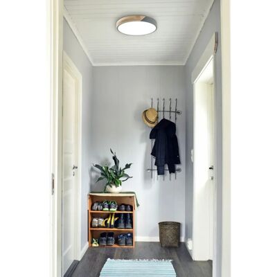 NÄVE LED Ceiling Light Borneo, gray, dimmable, remote, 3500lm - Ceiling Light NÄVE LED Ceiling Light Borneo, gray, dimmable, remote, 3500lm - Ceiling Light