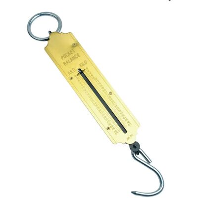 Mannesmann M 813-100 Tragbare Federwaage - Waage Mannesmann M 813-100 Tragbare Federwaage - Waage