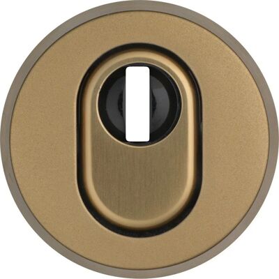 Abus Zt-Si-Schlü.Ros., Rhzs415 Ek, Cylindre profil perforé - Plaque de sécurité Abus Zt-Si-Schlü.Ros., Rhzs415 Ek, Cylindre profil perforé - Plaque de sécurité