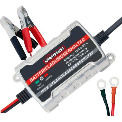 Dino Kraftpaket Dino Power Pack Chargeur de batterie de maintien - Chargeur Dino Kraftpaket Dino Power Pack Chargeur de batterie de maintien - Chargeur