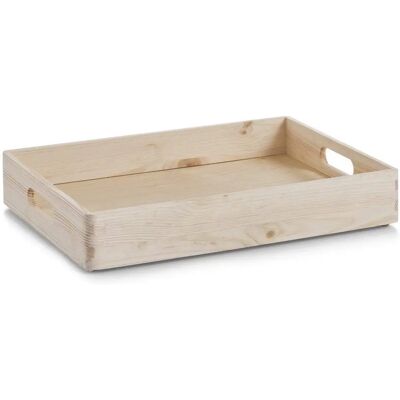 Zeller Modell 55 x 30 x 7 cm - Aufbewahrungsbox Zeller Modell 55 x 30 x 7 cm - Aufbewahrungsbox