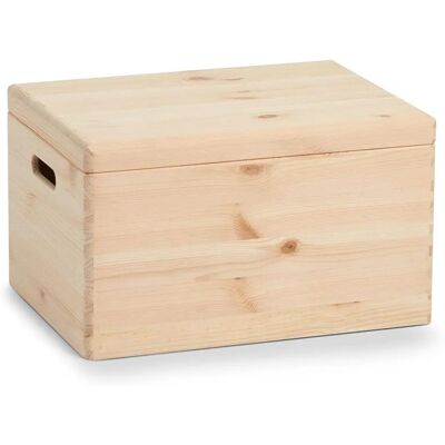 Zeller Present Aufbewahrungsbox - Allzweckkiste (29 L) Zeller Present Aufbewahrungsbox - Allzweckkiste (29 L)