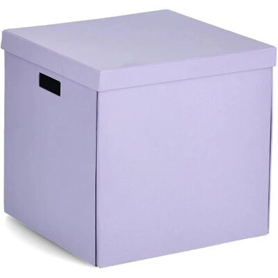 ZELLER PRESENT Aufbewahrungsbox mit Griffen - Aufbewahrungsbox ZELLER PRESENT Aufbewahrungsbox mit Griffen - Aufbewahrungsbox