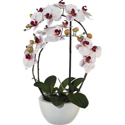 Kaiserkraft Künstliche Orchidee - 520mm Pink, Keramiktopf - Hochwertiger 3D-Druck Kaiserkraft Künstliche Orchidee - 520mm Pink, Keramiktopf - Hochwertiger 3D-Druck