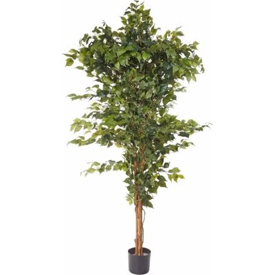 CREATIV GREEN Ficus Benjamini - Künstliche Pflanze CREATIV GREEN Ficus Benjamini - Künstliche Pflanze