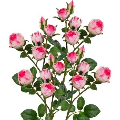 Pflanzen-Kölle - Polyantarose - Rosa - Artificial plant Pflanzen-Kölle - Polyantarose - Rosa - Artificial plant