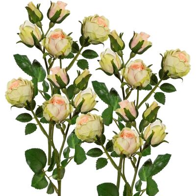 Pflanzen-Kölle Polyantarose apricot 39 cm - Kunstpflanze Pflanzen-Kölle Polyantarose apricot 39 cm - Kunstpflanze