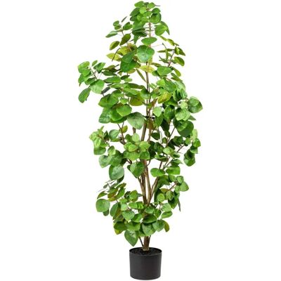 Pflanzen-Kölle - Künstlicher Eukalyptus - 120 cm - Pflanze Pflanzen-Kölle - Künstlicher Eukalyptus - 120 cm - Pflanze