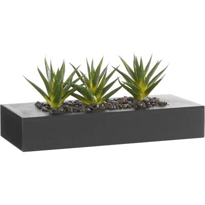 CREATIV GREEN - Kunstkaktus - Grün - 36 x 16 cm - Plant CREATIV GREEN - Kunstkaktus - Grün - 36 x 16 cm - Plant