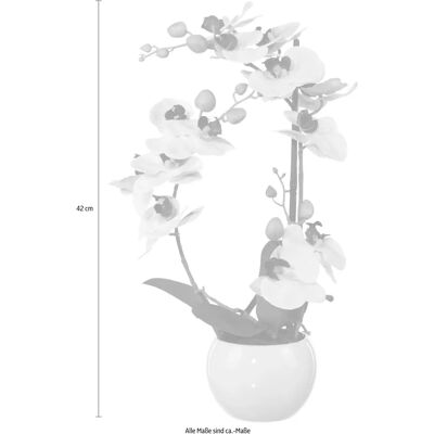 CREATIV GREEN - Phalaenopsis - rosa - Künstliche Pflanze CREATIV GREEN - Phalaenopsis - rosa - Künstliche Pflanze