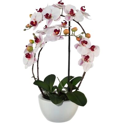 CREATIV GREEN - Phalaenopsis - 52 cm - Kunstpflanze CREATIV GREEN - Phalaenopsis - 52 cm - Kunstpflanze