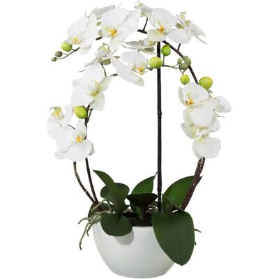 CREATIV GREEN - Phalaenopsis - 52 cm - Weiß - Artificial plant CREATIV GREEN - Phalaenopsis - 52 cm - Weiß - Artificial plant