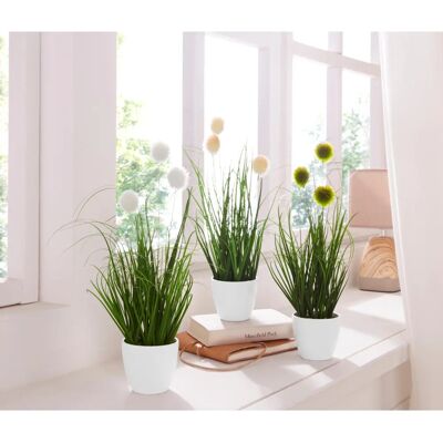 CREATIV GREEN Grasbusch Künstliche Pflanzen - 36cm, 3er Set CREATIV GREEN Grasbusch Künstliche Pflanzen - 36cm, 3er Set