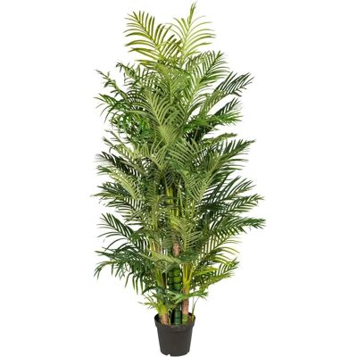 CREATIV GREEN Arecapalme - Kunstpflanzen - 220cm CREATIV GREEN Arecapalme - Kunstpflanzen - 220cm