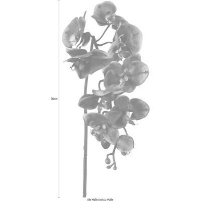 CREATIV GREEN Künstliche Orchideen Set - 98cm - 3 St. CREATIV GREEN Künstliche Orchideen Set - 98cm - 3 St.
