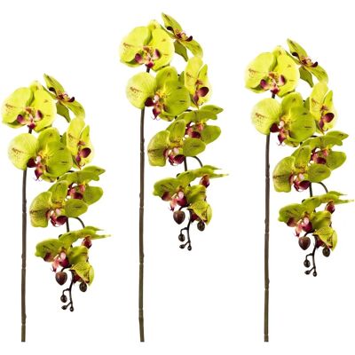 CREATIV GREEN - PHALAENOPSIS 98 cm - grün CREATIV GREEN - PHALAENOPSIS 98 cm - grün