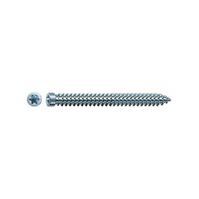 Wkręty do tarasów ze stali nierdzewnej Spax - Głowica cylindryczna 5x70mm - 100 szt. Wkręty do tarasów ze stali nierdzewnej Spax - Głowica cylindryczna 5x70mm - 100 szt.