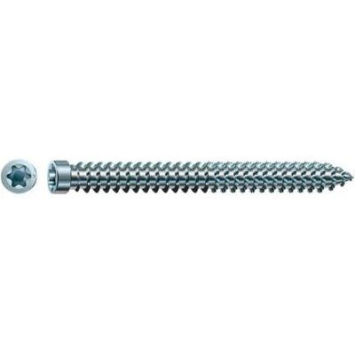 SPAX 210 mm Schraube - Vollgewinde - Zylindrischer Kopf - Für Holzrahmen SPAX 210 mm Schraube - Vollgewinde - Zylindrischer Kopf - Für Holzrahmen