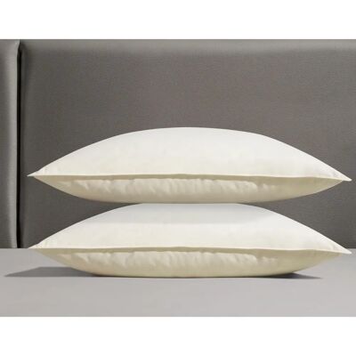 OTTO KELLER Gänsefeder & -daunen Kopfkissen - 80x80cm - Allergiker geeignet OTTO KELLER Gänsefeder & -daunen Kopfkissen - 80x80cm - Allergiker geeignet
