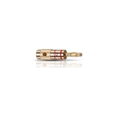 Connettore cavo altoparlanti OEHLBACH Banana B1 - Oro - 4 pz Connettore cavo altoparlanti OEHLBACH Banana B1 - Oro - 4 pz