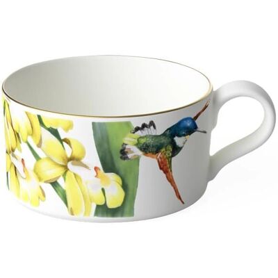 Villeroy & Boch Amazonia Premium Bone Porzellan Teetasse - 230ml Villeroy & Boch Amazonia Premium Bone Porzellan Teetasse - 230ml