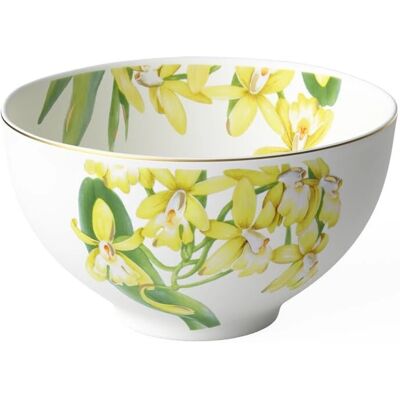 Villeroy & Boch Amazonia Schüssel - 13cm - Schüssel Villeroy & Boch Amazonia Schüssel - 13cm - Schüssel