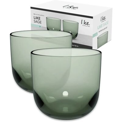 Villeroy & Boch Sage Water Glass Set 2 pcs Villeroy & Boch Sage Water Glass Set 2 pcs
