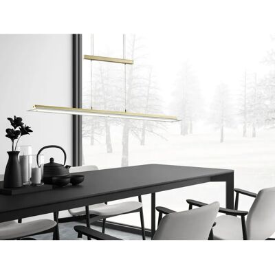 Fischer & Honsel Tenso TW Messing LED Pendelleuchte Fischer & Honsel Tenso TW Messing LED Pendelleuchte