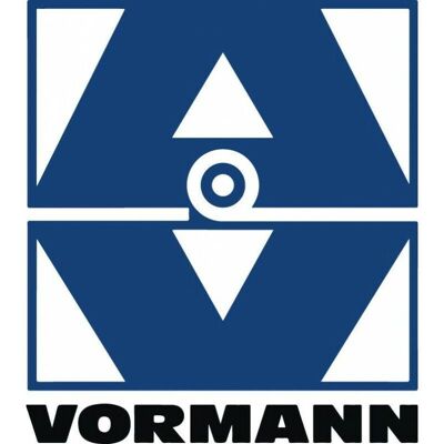 Vormann Cerradura de puerta - Acero galvanizado 140x56mm - Recto con ojete Vormann Cerradura de puerta - Acero galvanizado 140x56mm - Recto con ojete