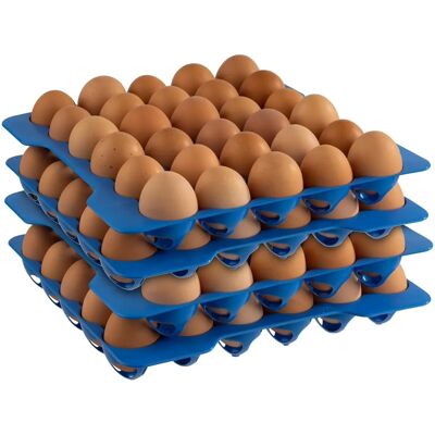 APS Caja de Huevos - Contenedor para huevos para gastronomía APS Caja de Huevos - Contenedor para huevos para gastronomía