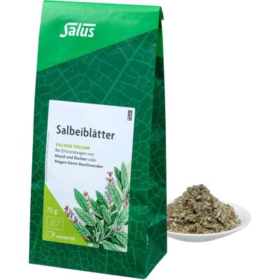 Salus Bio-Salbeiblätter Tee - Kräutertee gegen Verdauung & Entzündung Salus Bio-Salbeiblätter Tee - Kräutertee gegen Verdauung & Entzündung