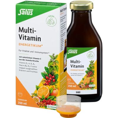 Salus Pharma Multi-Vitamin-Energetikum (250 ml) Salus Pharma Multi-Vitamin-Energetikum (250 ml)