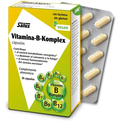 Salus Complejo de Vitamina B - Apoya energía, sistema nervioso, fatiga Salus Complejo de Vitamina B - Apoya energía, sistema nervioso, fatiga