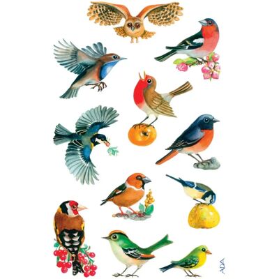 Z-Design Vogelaufkleber - 3 Bögen - 76x120mm - Papier Z-Design Vogelaufkleber - 3 Bögen - 76x120mm - Papier