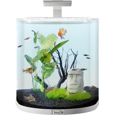 Tetra - AquaArt Explorer Line - 30L Bianco - Acquario Tetra - AquaArt Explorer Line - 30L Bianco - Acquario