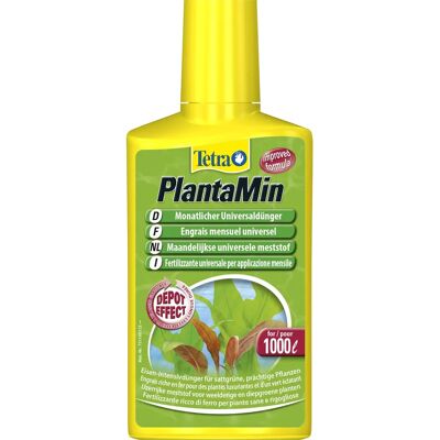 Tetra PlantaMin 250 ml - Fertilizzante per piante acquatiche - Ricco di ferro Tetra PlantaMin 250 ml - Fertilizzante per piante acquatiche - Ricco di ferro