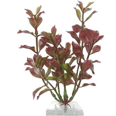 Tetra Rote Ludwigia Aquarium Kunstpflanze - Frontdekoration Tetra Rote Ludwigia Aquarium Kunstpflanze - Frontdekoration