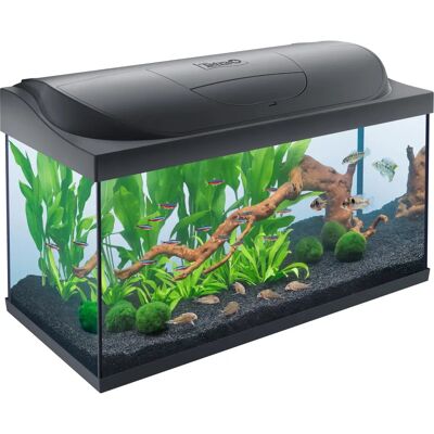 Tetra Akvárium 105L Komplett Készlet - Trópusi Halak, LED, Szűrő, Fűtő Tetra Akvárium 105L Komplett Készlet - Trópusi Halak, LED, Szűrő, Fűtő